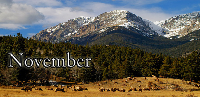 Mtn Chapin and Elk Herd Nov