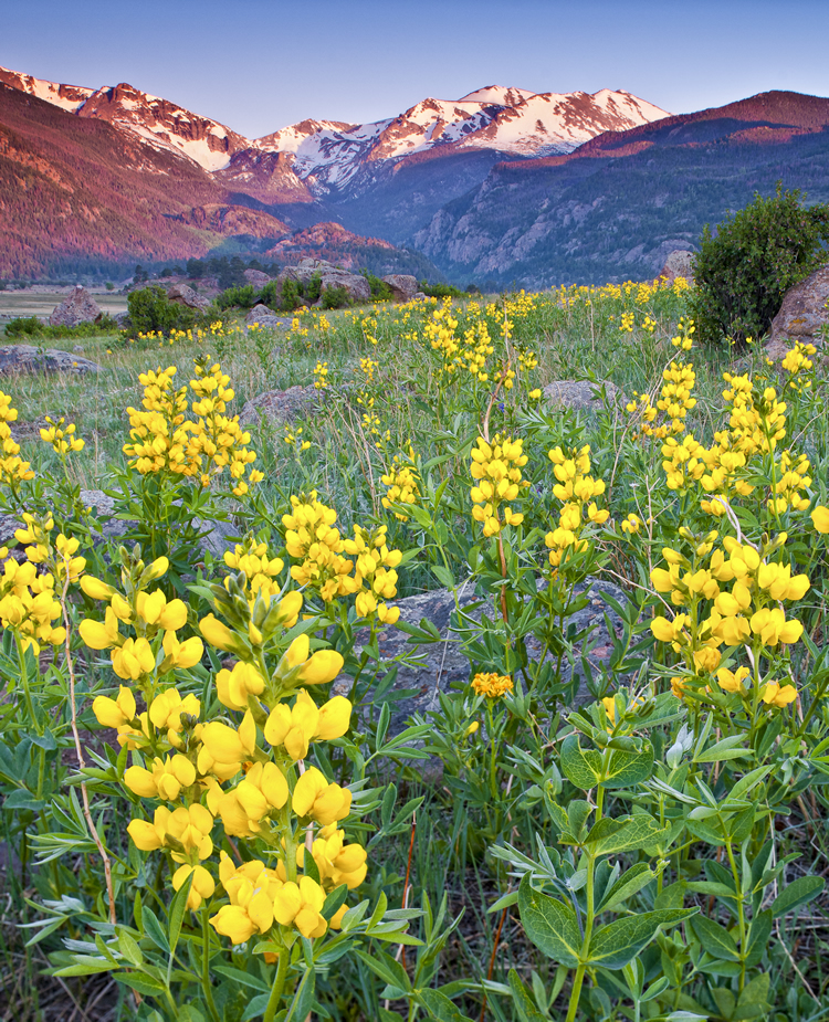 Trail Ridge Road Photo Tour